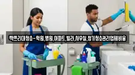 싹쓰리대청소-학원,병원,아파트,빌라,사무실,정기청소관리업체비용