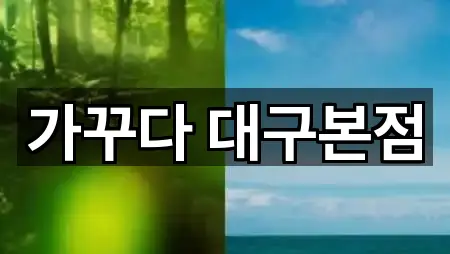 가꾸다 대구본점