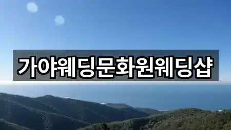 전남 광양시 도이동 웨딩드레스 바로 보기 1곳