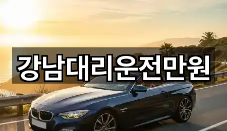 강남대리운전만원