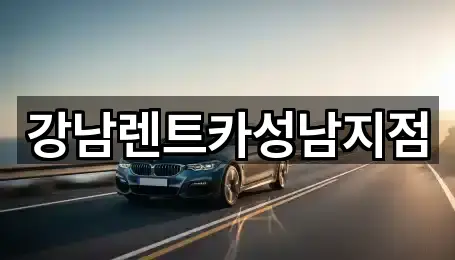 수진동렌트카 5곳 지도 아카이브