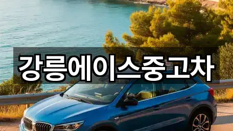 강릉에이스중고차