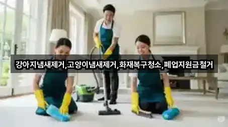 강아지냄새제거,고양이냄새제거,화재복구청소,폐업지원금철거