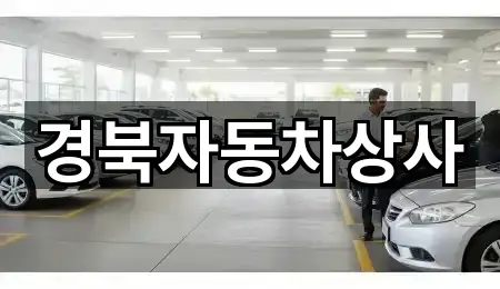 총정리 | 대구 대명동 중고차 5곳