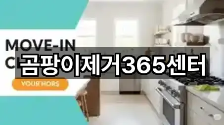 곰팡이제거365센터