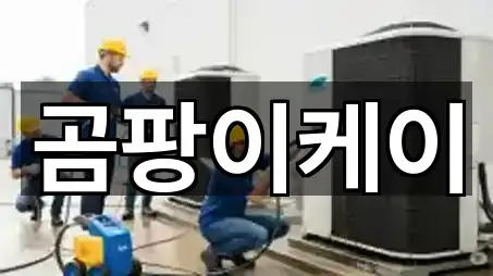 충남 공주시 반죽동 청소업체 연락처·위치 5건