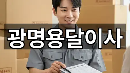 광명시 일직동 용달이사 사진/정보 5건