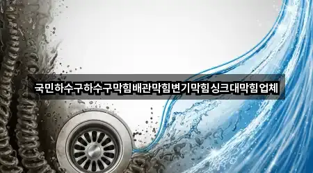 국민하수구하수구막힘배관막힘변기막힘싱크대막힘업체