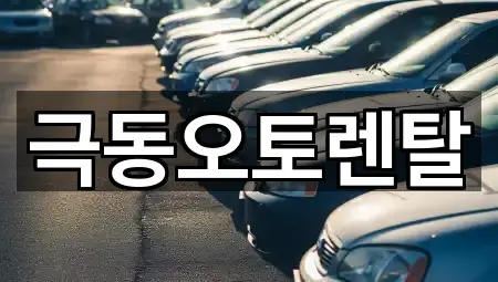 울산광역시 호계동 렌트카 예약 가능 2곳