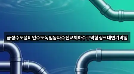 금성수도설비언수도녹임동파수전교체하수구막힘싱크대변기막힘
