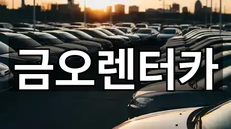 빠른 길찾기: 전남 장성읍 렌트카 5곳