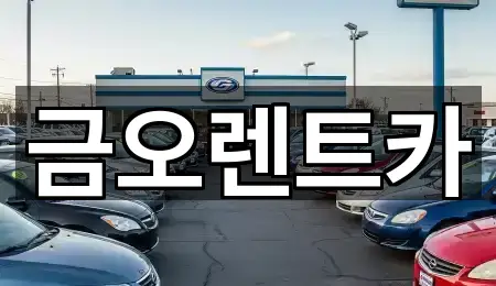 중구 동성로2가 렌트카 바로 위치 5곳