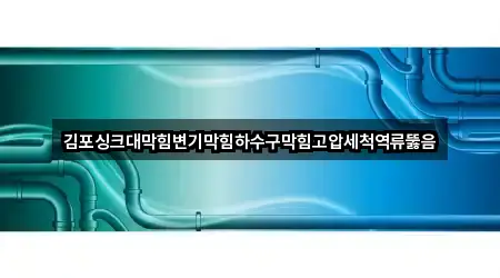 김포싱크대막힘변기막힘하수구막힘고압세척역류뚫음
