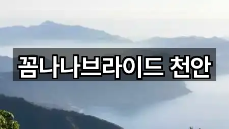 길 안내 | 충청남도 천안시 웨딩메이크업 5곳