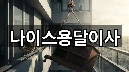 나이스용달이사