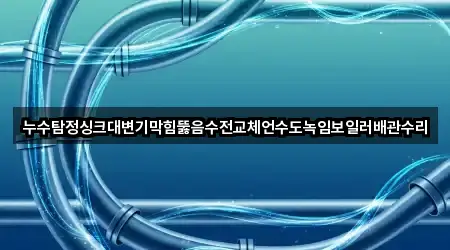 누수탐정싱크대변기막힘뚫음수전교체언수도녹임보일러배관수리
