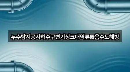 누수탐지공사하수구변기싱크대역류뚫음수도해빙