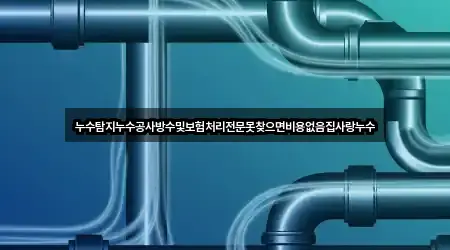 퀵 리스트: 용호동 누수탐지 3곳