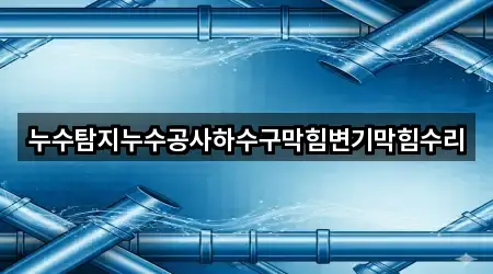 학정동 누수 탐지 5곳 도로명·지번