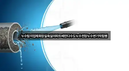 누수탐지업체화장실욕실아파트베란다수도누수천장누수변기막힘뻥
