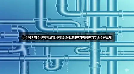 누수탐지하수구막힘고압세척욕실싱크대변기막힘변기부속수전교체