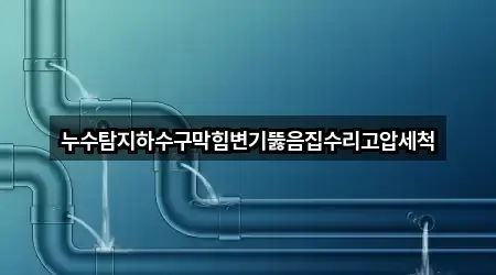 누수탐지하수구막힘변기뚫음집수리고압세척