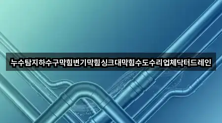 누수탐지하수구막힘변기막힘싱크대막힘수도수리업체닥터드레인