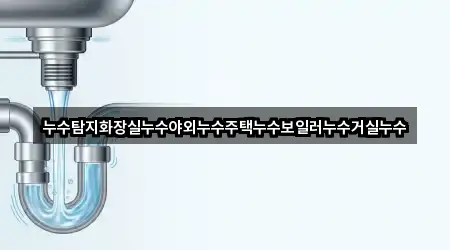 누수탐지화장실누수야외누수주택누수보일러누수거실누수