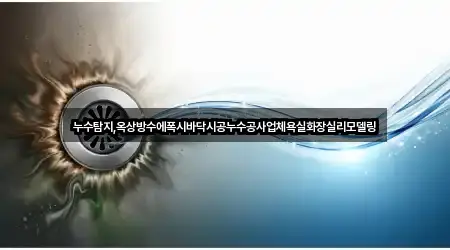 누수탐지,옥상방수에폭시바닥시공누수공사업체욕실화장실리모델링