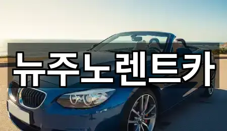 뉴주노렌트카