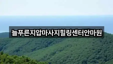 늘푸른지압마사지힐링센터안마원