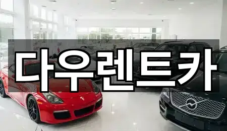 1곳 강천면 렌트카 업데이트