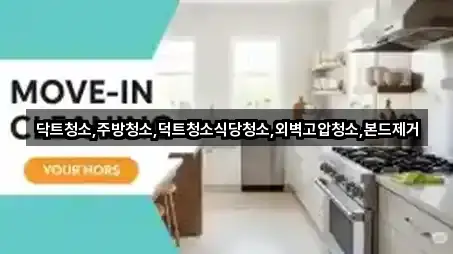 신정동 청소 인증 업체 5곳