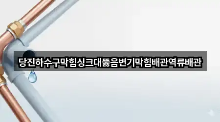 당진 송산면 변기 막힘 맞춤 추천 5곳