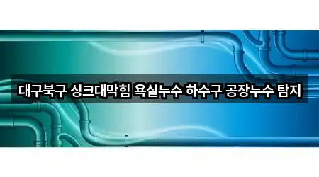 대구북구 싱크대막힘 욕실누수 하수구 공장누수 탐지