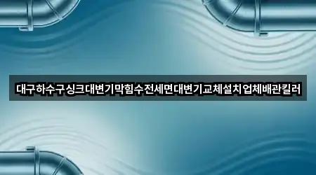 대구하수구싱크대변기막힘수전세면대변기교체설치업체배관킬러