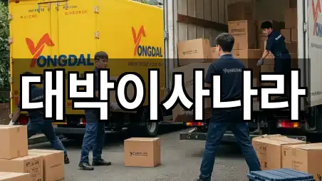 강원특별자치도 적노동 포장이사 3곳 경로 안내