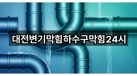 대전변기막힘하수구막힘24시