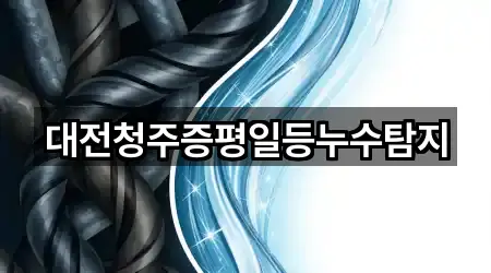 대전청주증평일등누수탐지