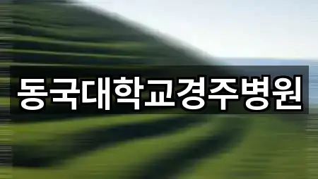 경상북도 충효동 산부인과 네이버지도 2곳