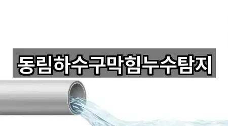 동림하수구막힘누수탐지