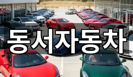 영천시 도림동 중고차 가까운 곳 2곳