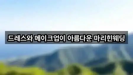 원클릭 지도: 전북 전주시 완산구 경원동1가 웨딩드레스 5곳