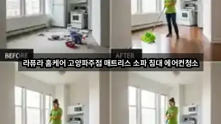 라퓨라 홈케어 고양파주점 매트리스 소파 침대 에어컨청소