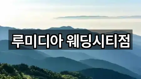 루미디아 웨딩시티점