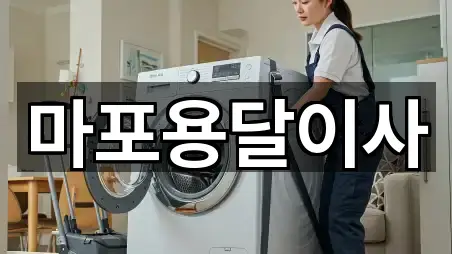 서울특별시 충정로3가 이사 빠른 연결 5곳