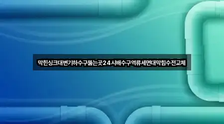 제주시 이호일동 세면대 막힘 모아보기 3곳