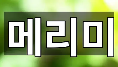 메리미