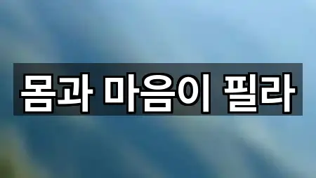 전남 벌교읍 필라테스 1곳 원스톱 보기