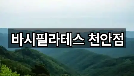 바시필라테스 천안점